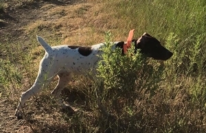 Big Country's Lucie Lou